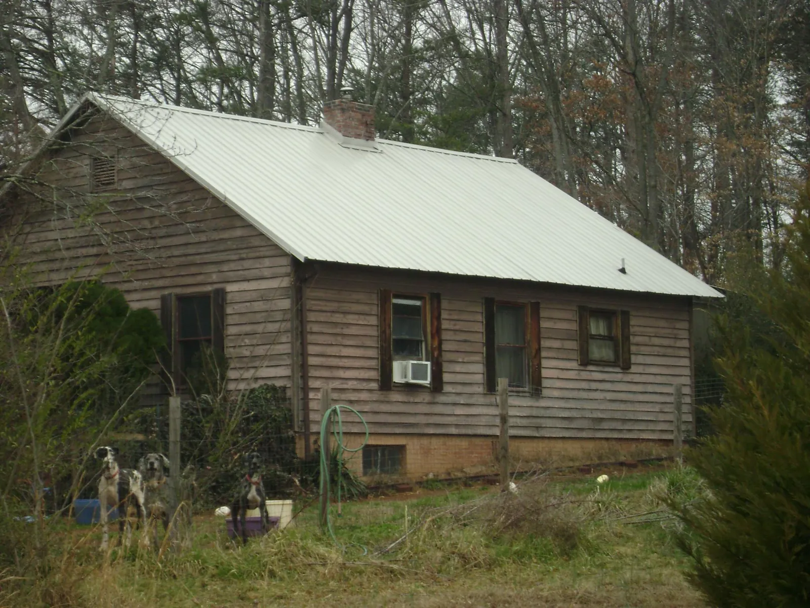White metal roof on an old wood sided farmhouse, from a Metal Roof Installation job in Kersey